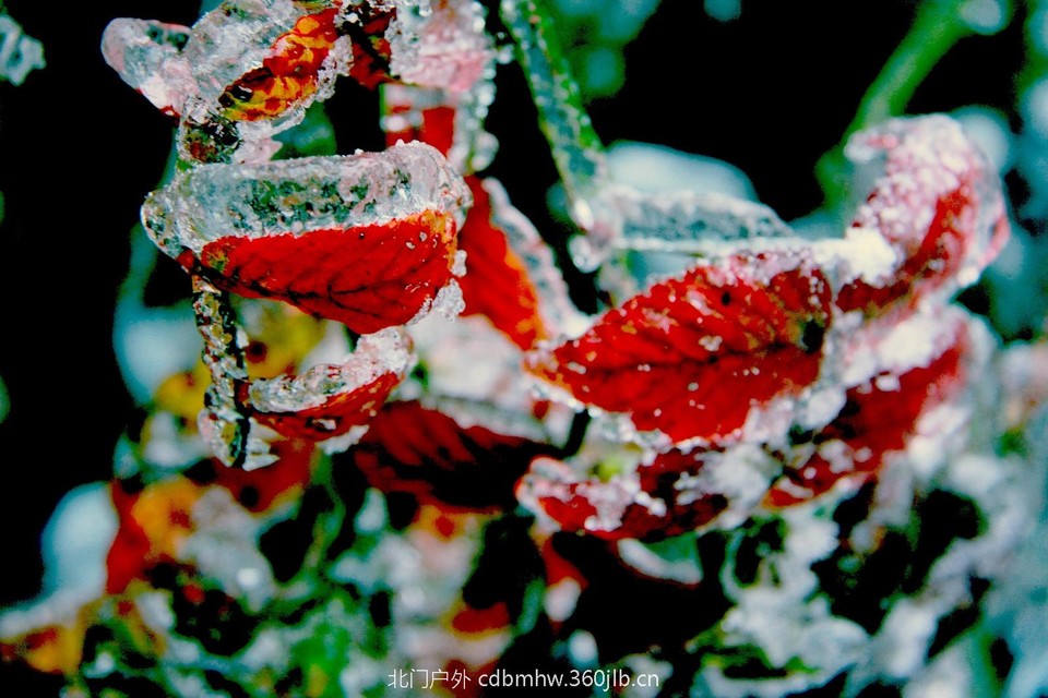 5EEC6E35-0AD6-42D5-ABEF-2DC4A6FACE15