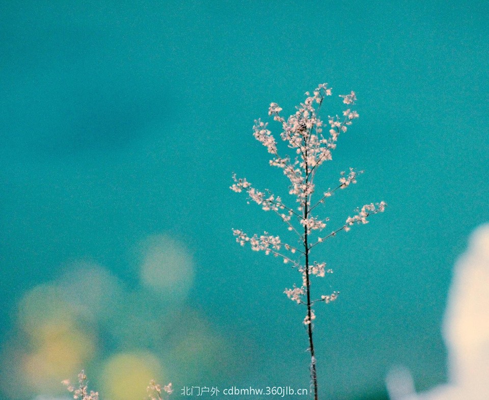 6BCB1CEA-1C2F-4DC2-9398-D92D0D7499CA