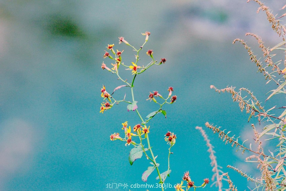 CFA24CCA-59C6-455F-B661-37EF73A7B9F5