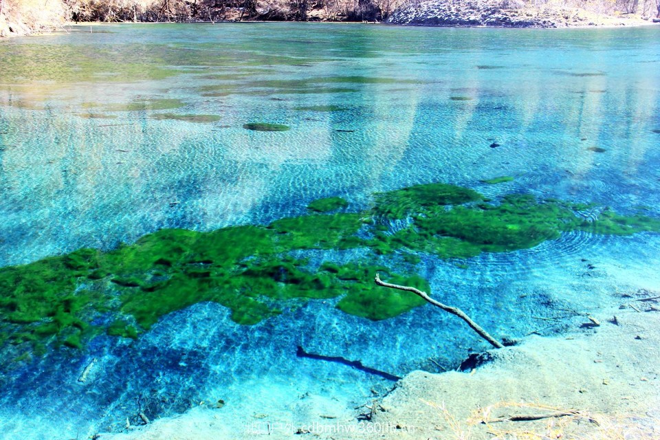 mmexport1544936063829