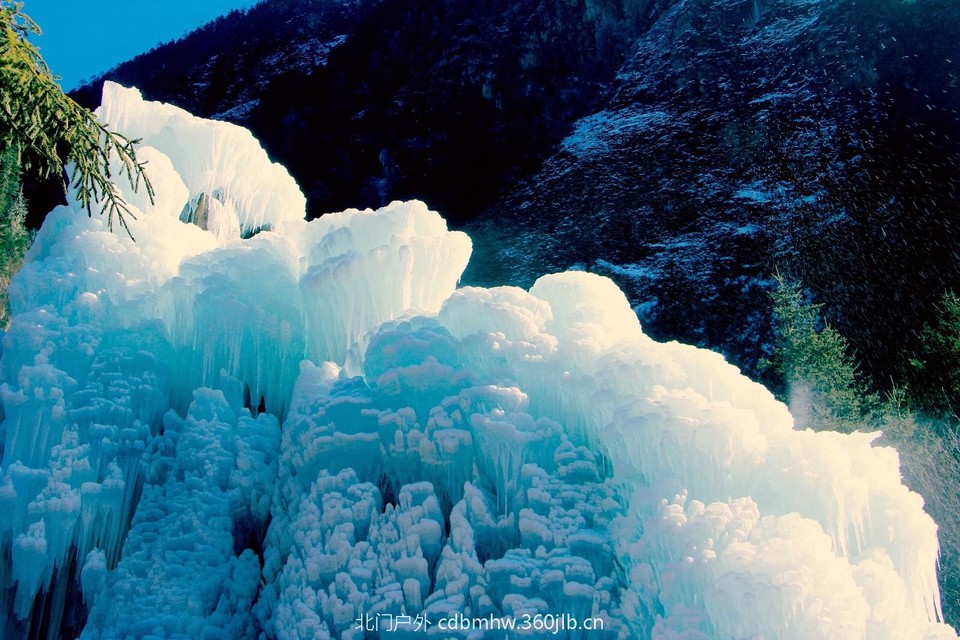 mmexport1544936053079