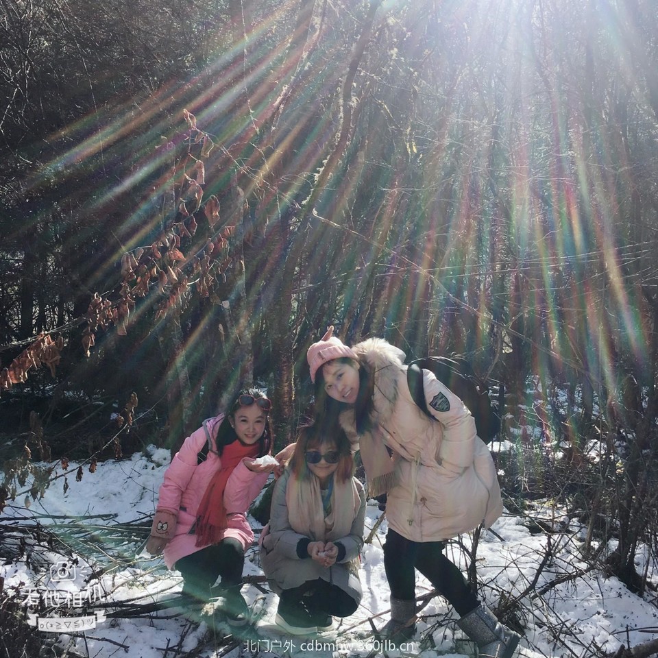 mmexport1544932930550