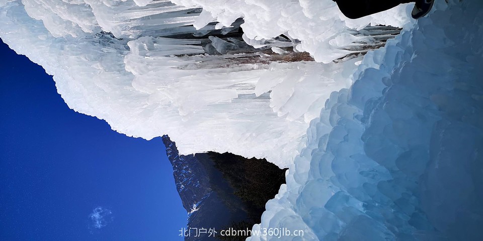 mmexport1544932562278