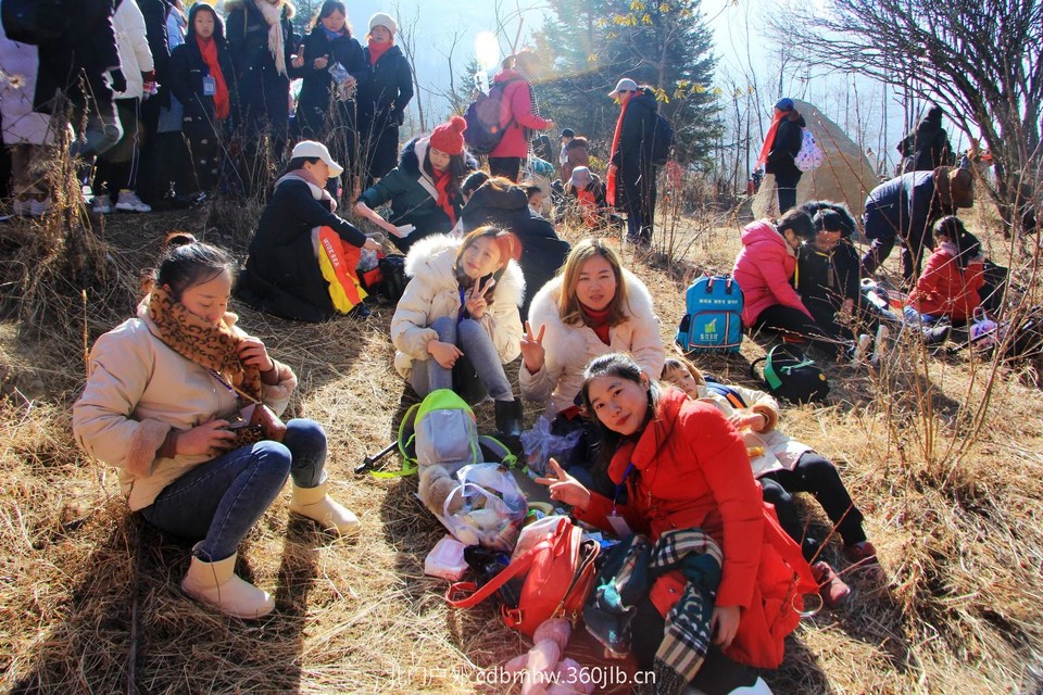 mmexport1544932241463