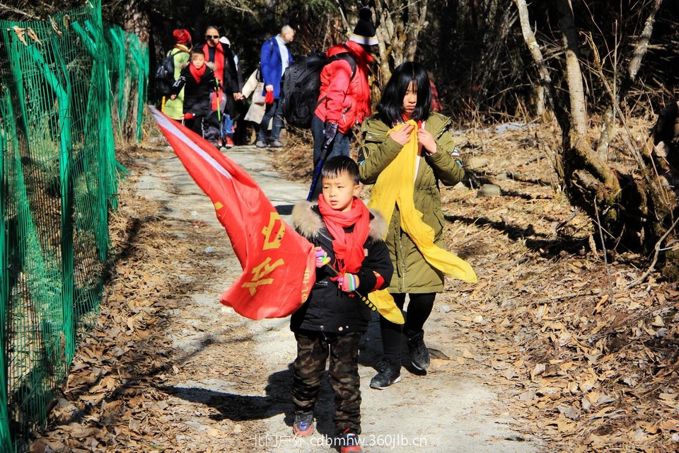 mmexport1544931987839