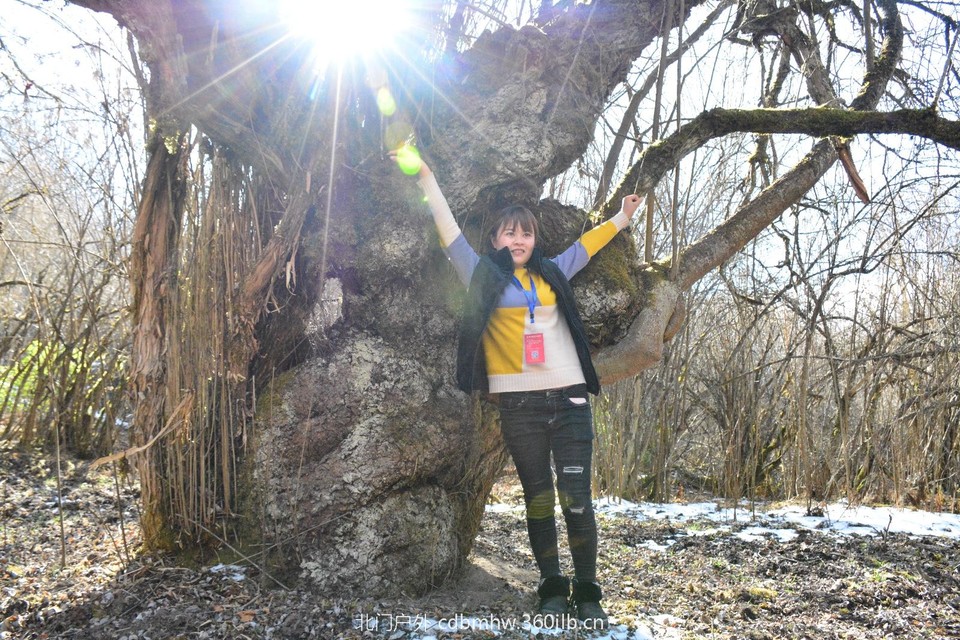 C9583190-DFC6-4205-BFC3-E0B9995B7610