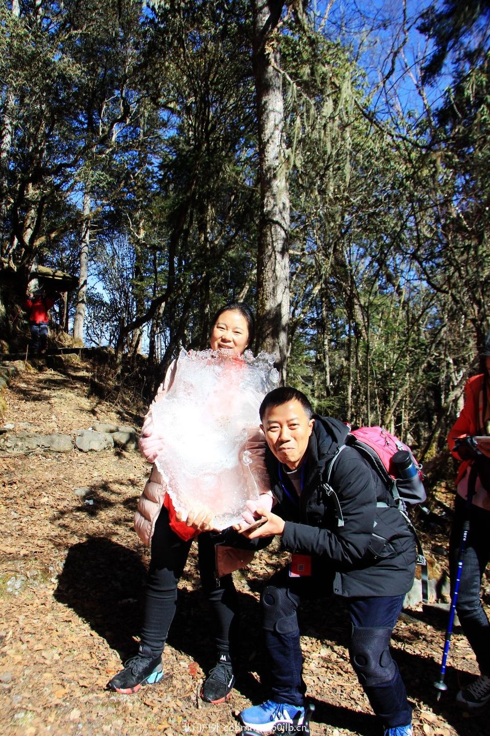 62E645A2-FF56-48AD-8E2A-1D03842F832D