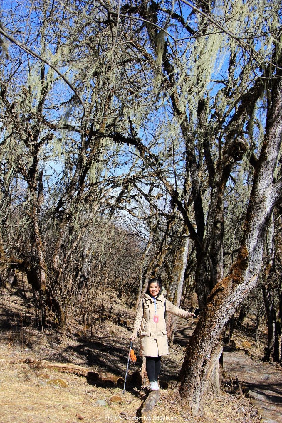 A54EBB96-18D7-4F20-90B1-564333BFB551