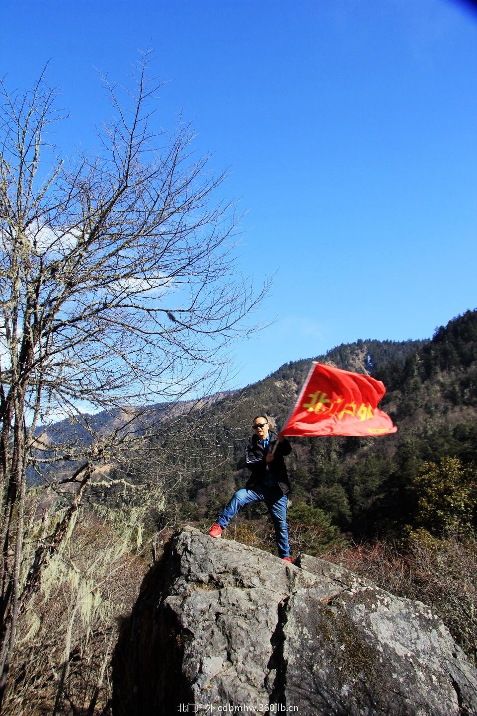 D03F7544-9082-41C2-85D3-2BD79777731E