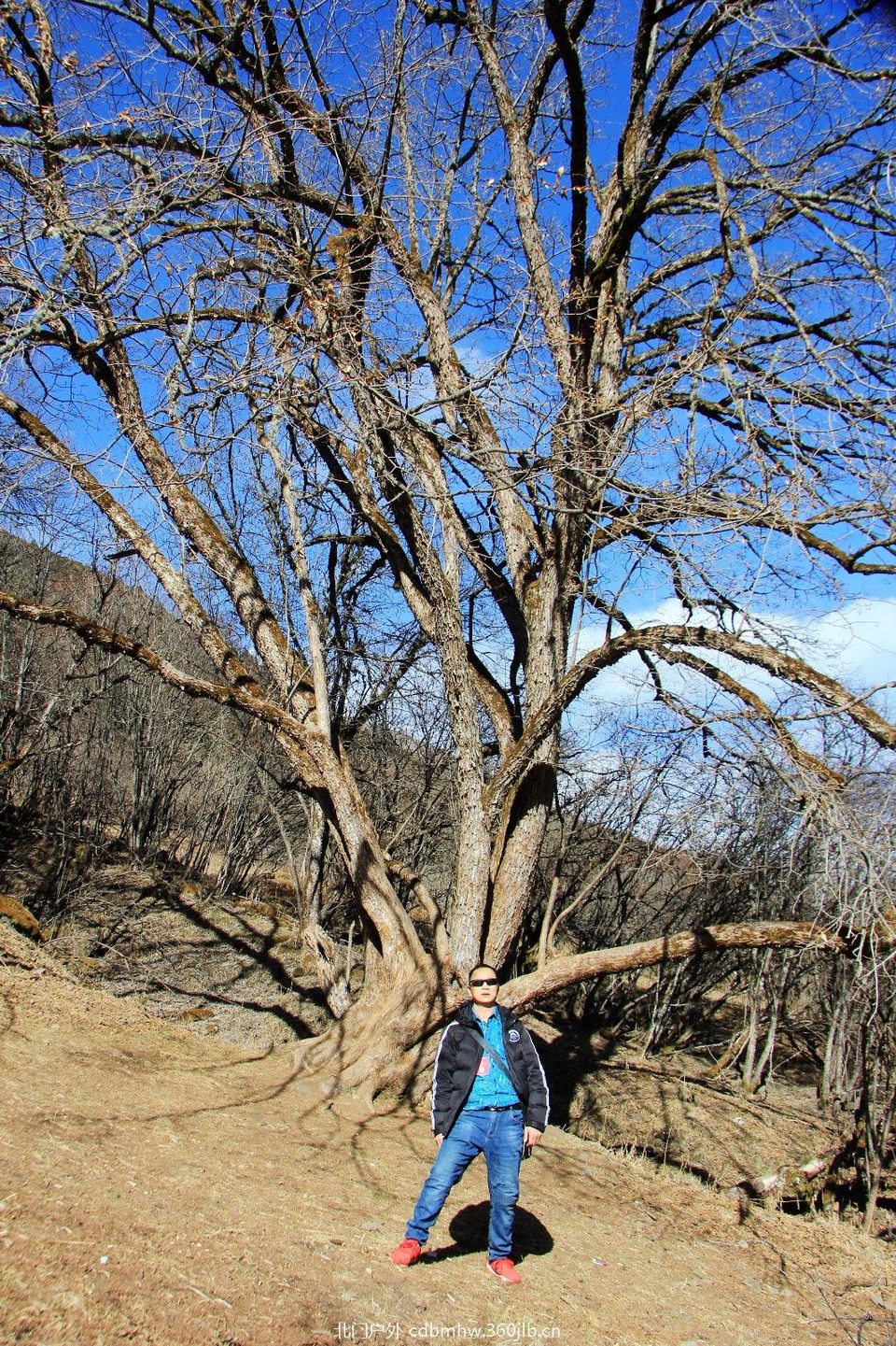 4ED7AB49-A084-4622-B59C-A6B2C182419B