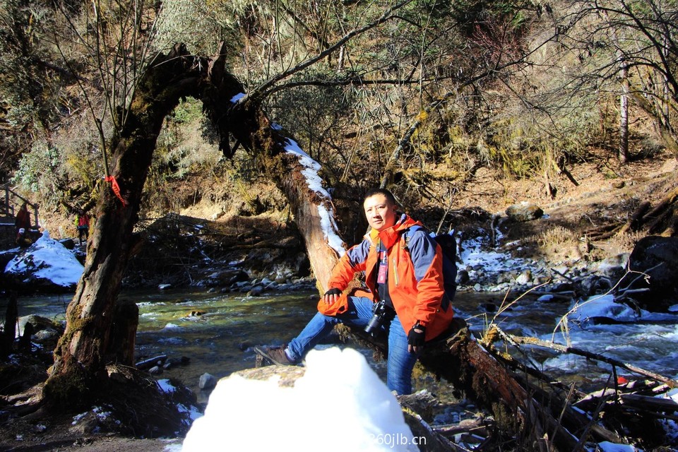 C8B57577-BD20-43E6-8AD9-7D3ED71E3DD5