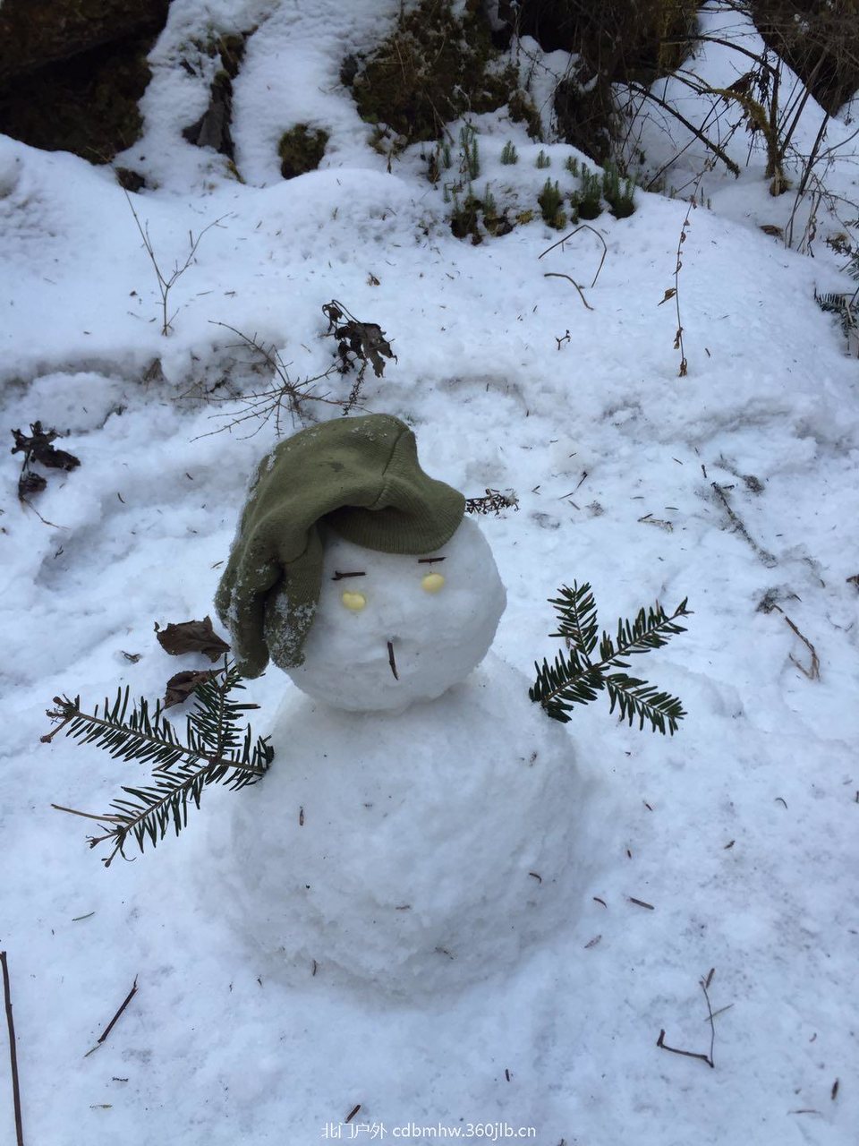 CA99C9C5-D896-4A1D-8252-9320359FC3CD