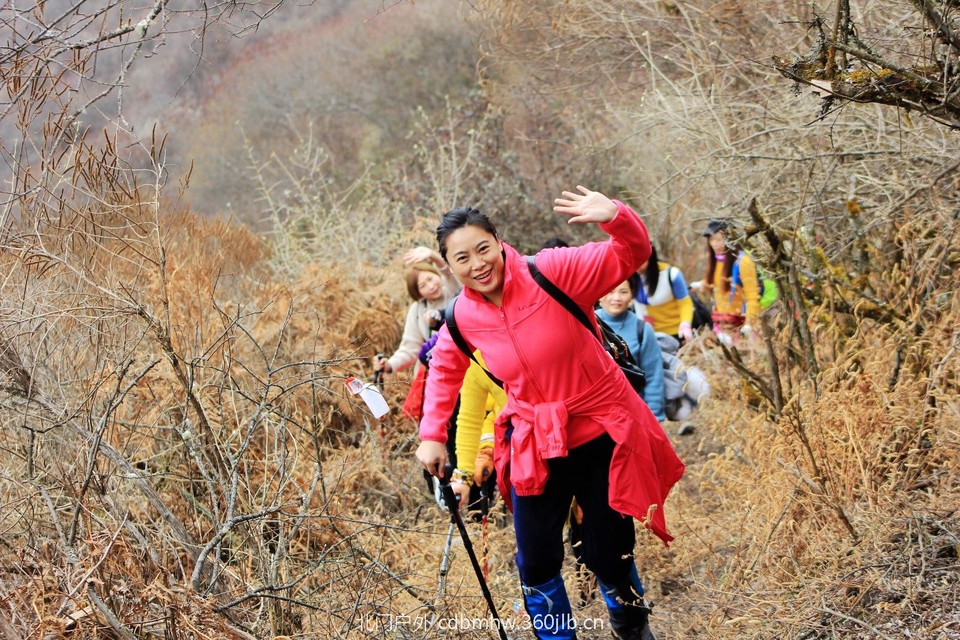 66C92508-3DD3-4818-95E4-963AD68B760A