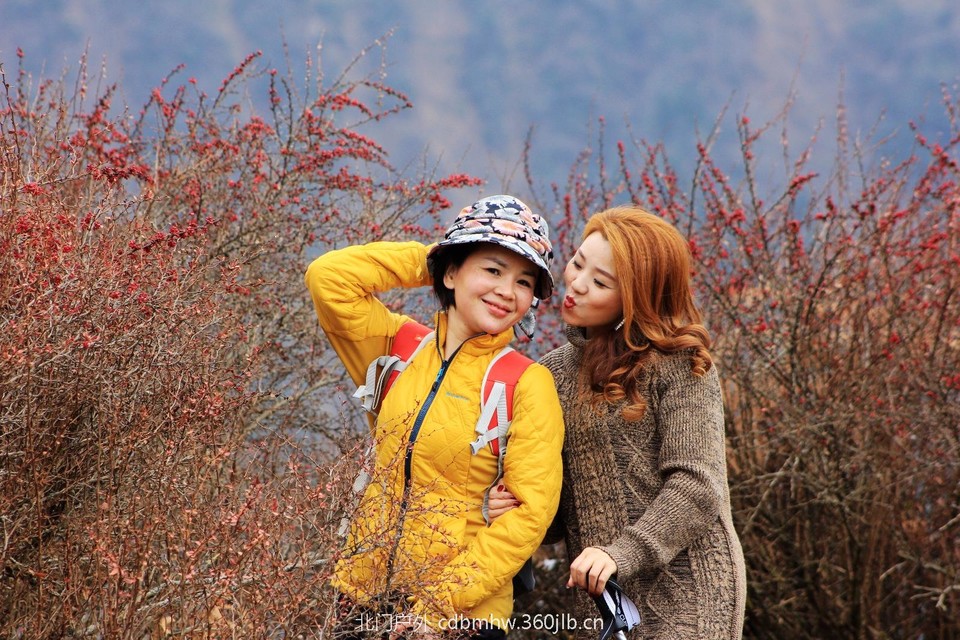 D2FC1045-E3D5-4526-A327-F9AE7F78438B