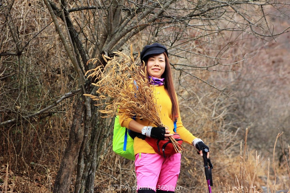 36FF23D7-ECE4-462F-A4AC-4050FFF1B85D