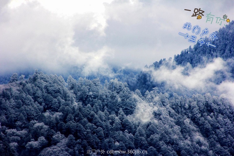 293C2241-5CE3-4B3F-8C16-1D7D0E6D1FDD