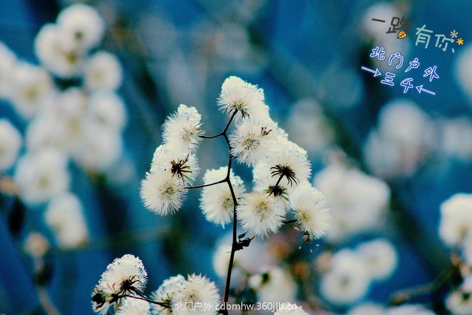 1E3B9FE0-569F-408A-9445-8079167E2398