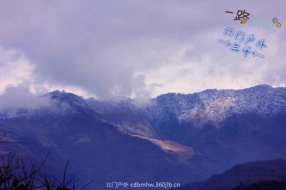 48328D5A-BB20-438F-853E-CEE260C6C734