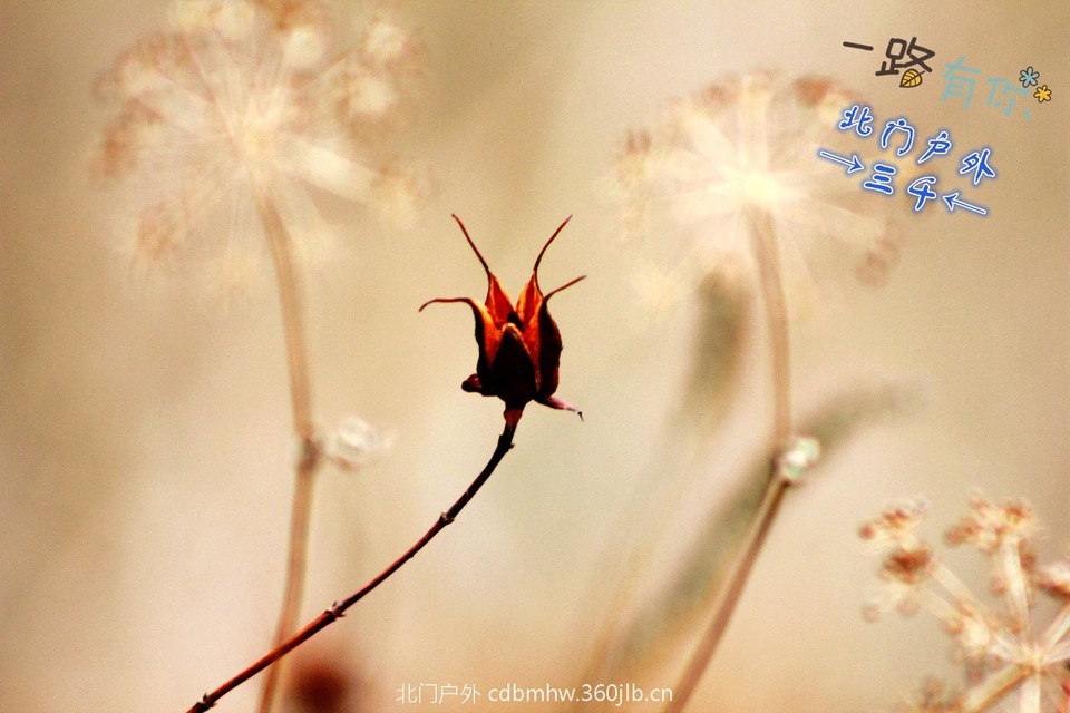 9FEB7FE3-2245-48EF-90B0-1EAEBDAA5652