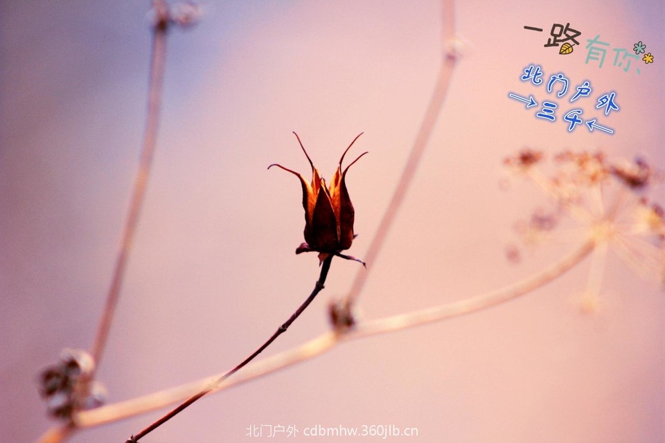 88E490E8-6264-4A7D-8FE7-FE5243B24585