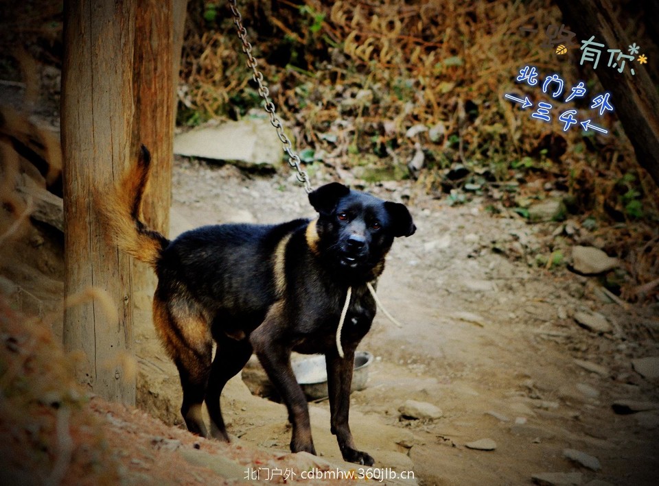 5F338321-7C37-41A9-8774-69461747DE72