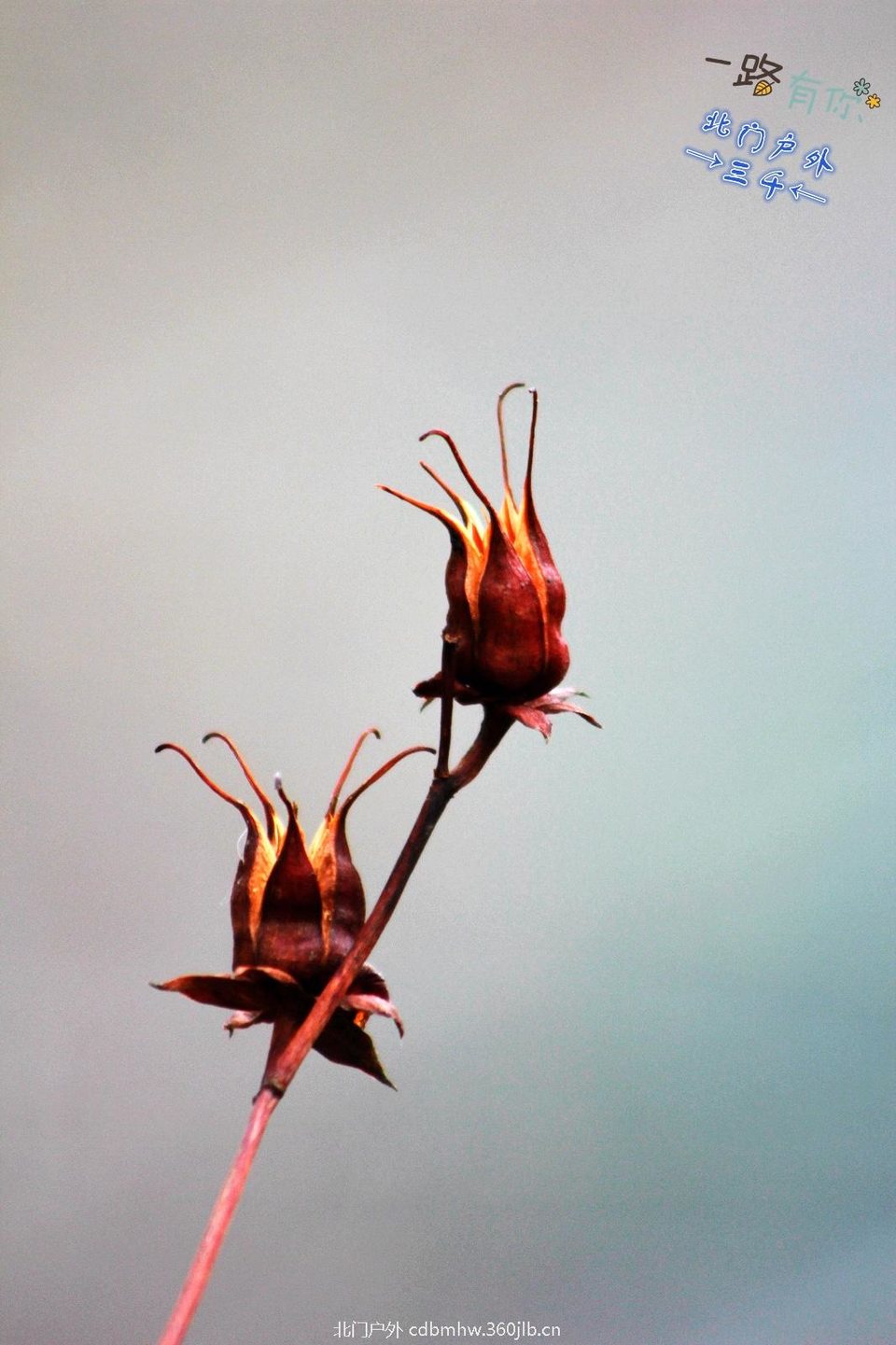 58BF7CCA-E0D9-43B7-956A-84EB241BC5F0