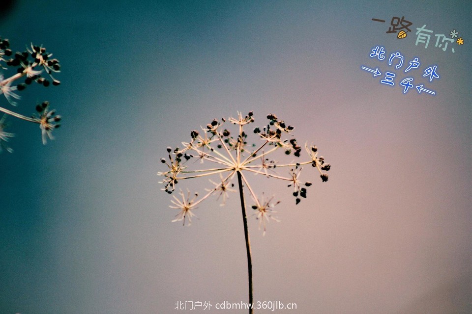 74C57D2A-6DCA-47B4-8DF0-D19D290724C2