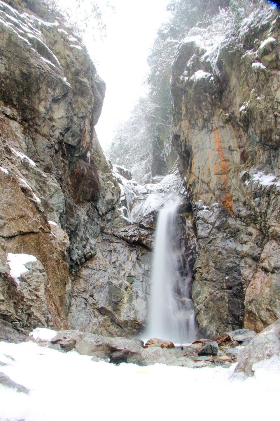 8DB1F221-2DFA-46E9-9012-CA9B23E8C472