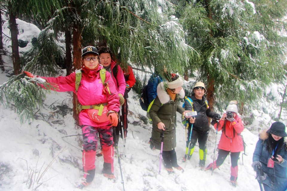 07871D71-2746-4A04-995F-A44CC18F2988