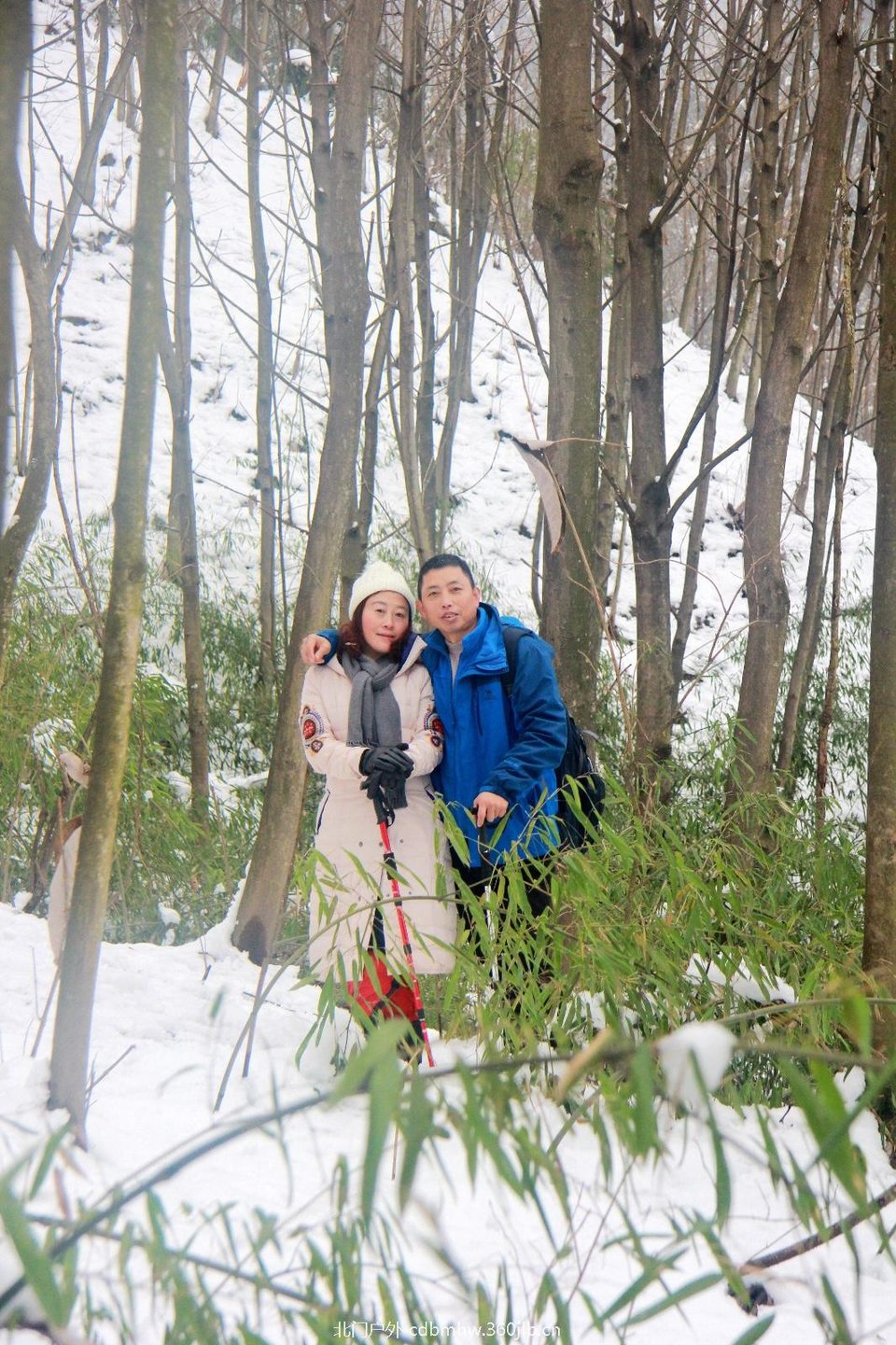 C65712E5-F4BF-4E79-A767-B3143D22957D