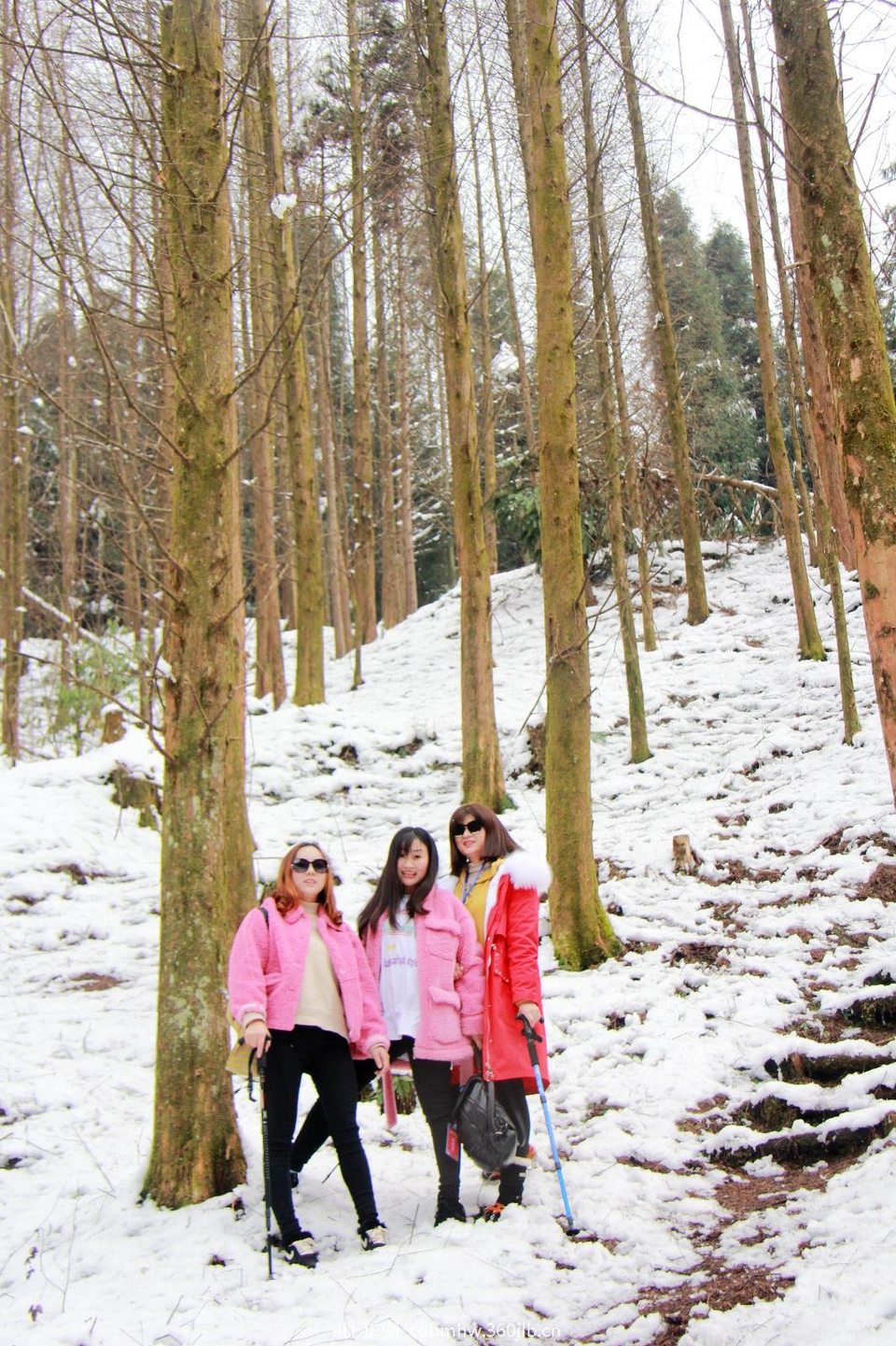 88529268-8020-4178-8C6D-5F89F20D0018