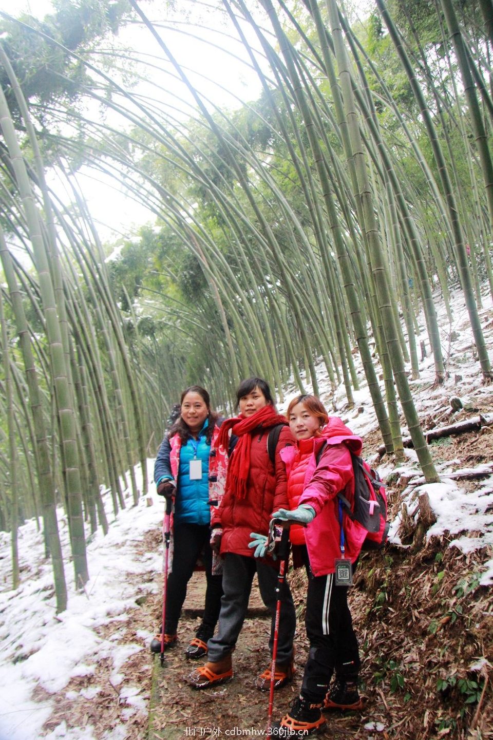 BAF3DB68-5903-44A6-9018-682AF144BA55