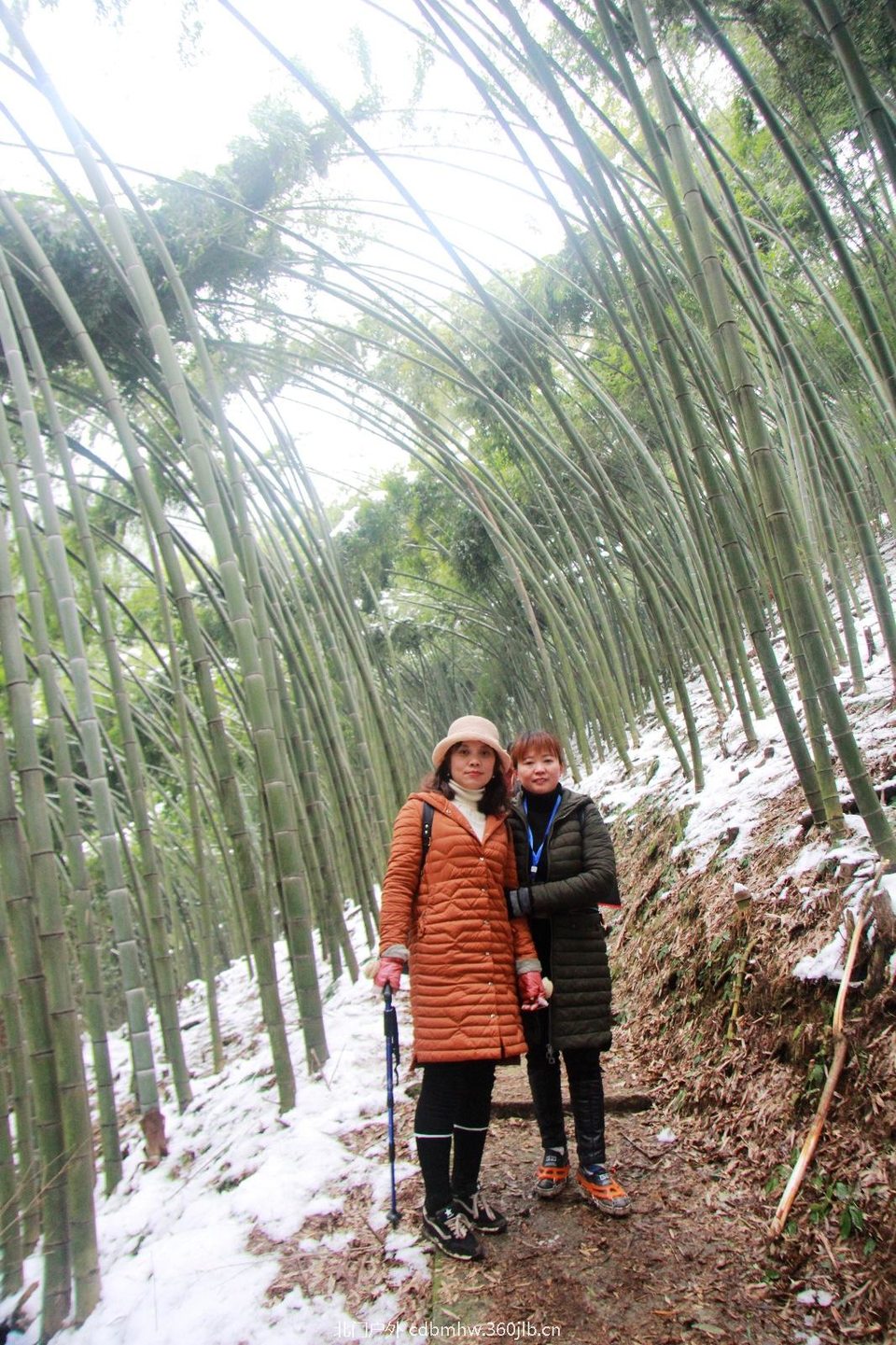 A82ADCAE-9C3F-4176-9A26-AD41CC7D2AE4