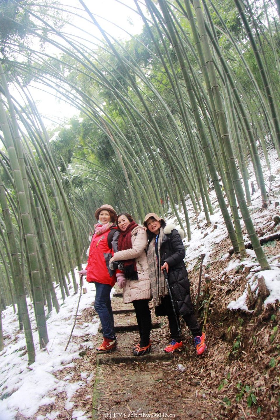 218771D4-0F31-4909-A2DC-D0B69DB47D59