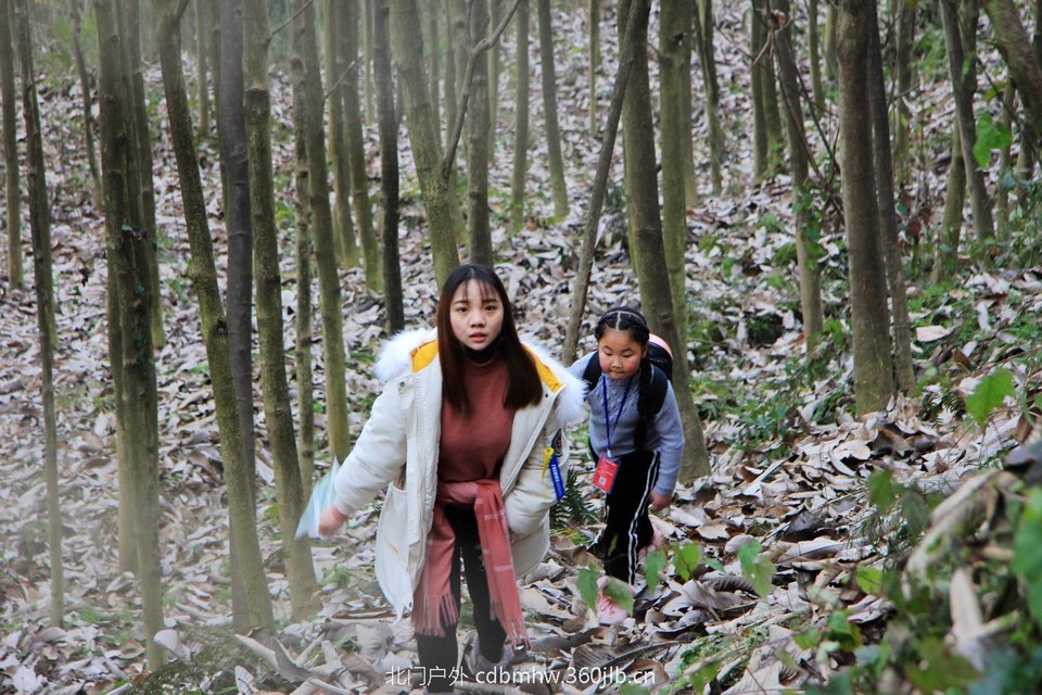 76D47B49-8418-4DFD-8800-186CC485D074