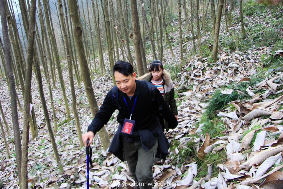 388A0B2C-2B4A-4CEC-8F07-7651F13082CA