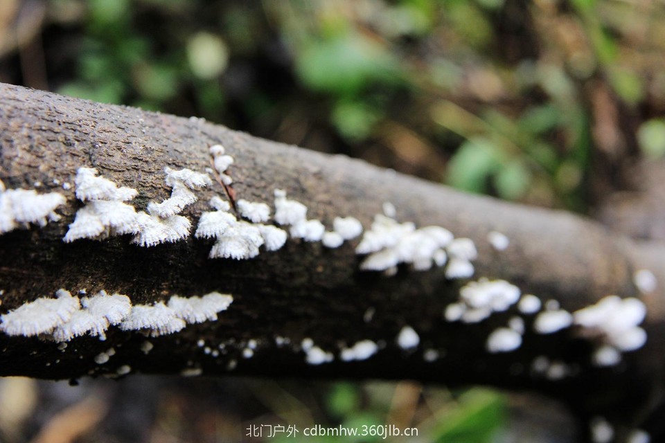 3BEDA08C-F1BB-4D47-B550-738918E7B694