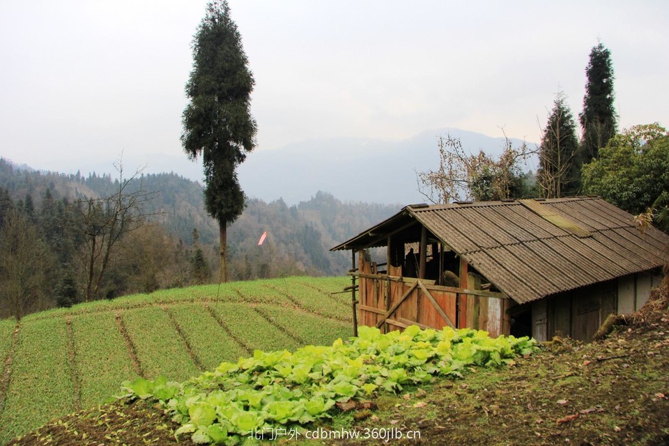 BE830934-A783-4704-B7A6-74F0E659DD49