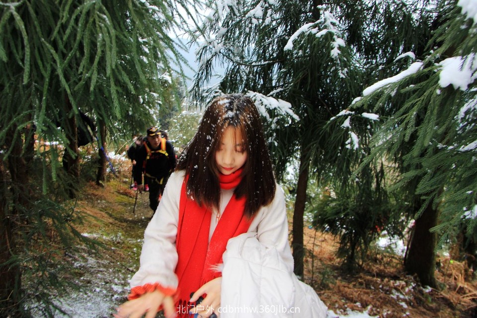 D51590B5-DF99-400C-A0D4-AB775169E1D2