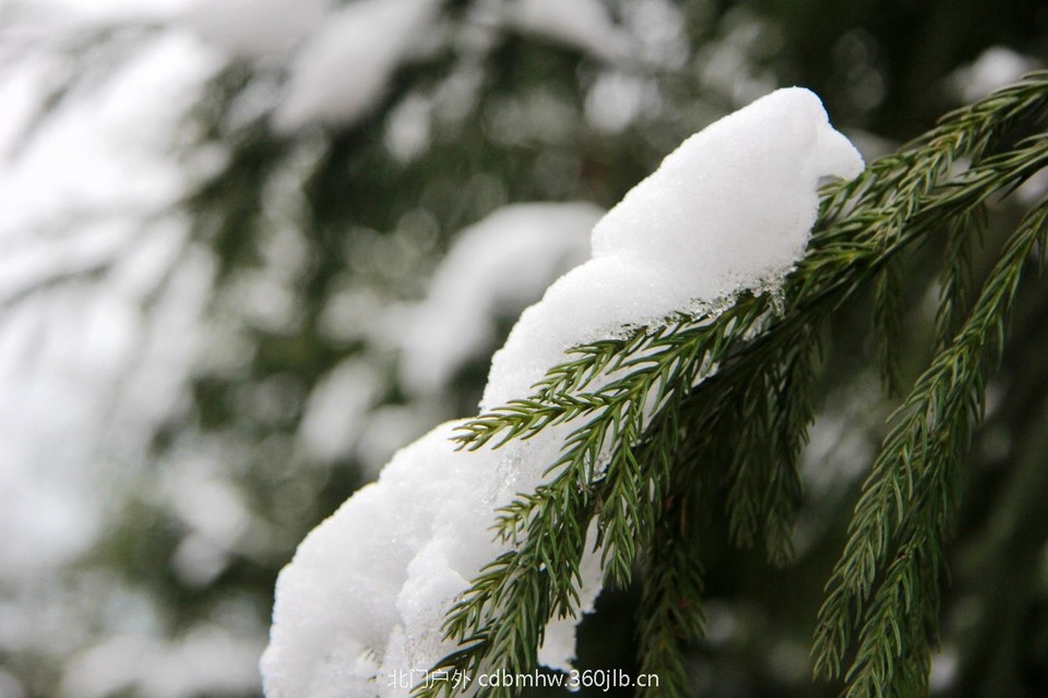 E2846E80-36C7-495F-8B9C-09FA1DF0A35E