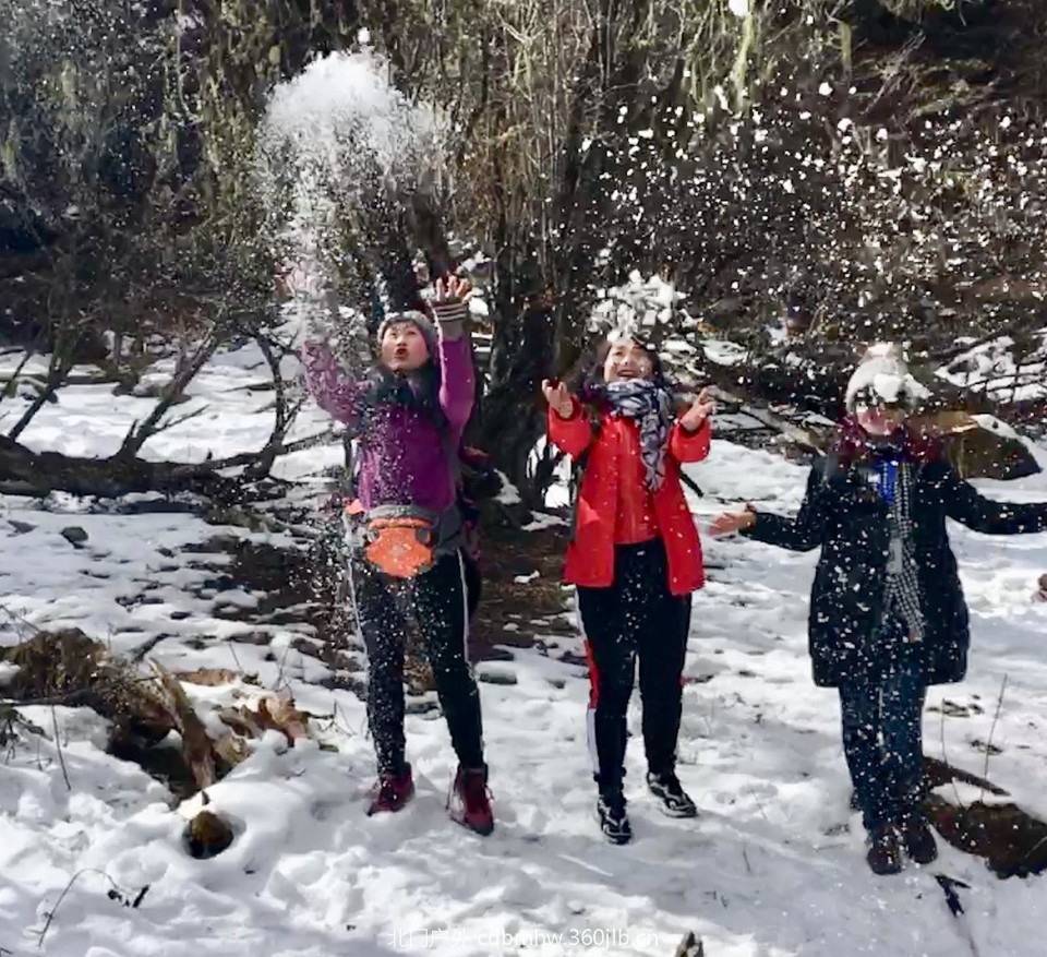 176833B7-E340-4092-BE51-B866C01F015A