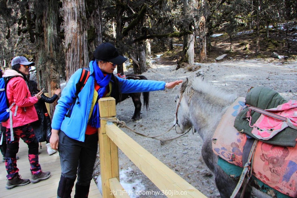 8053C769-E77D-4618-BBE8-F23A257C8113