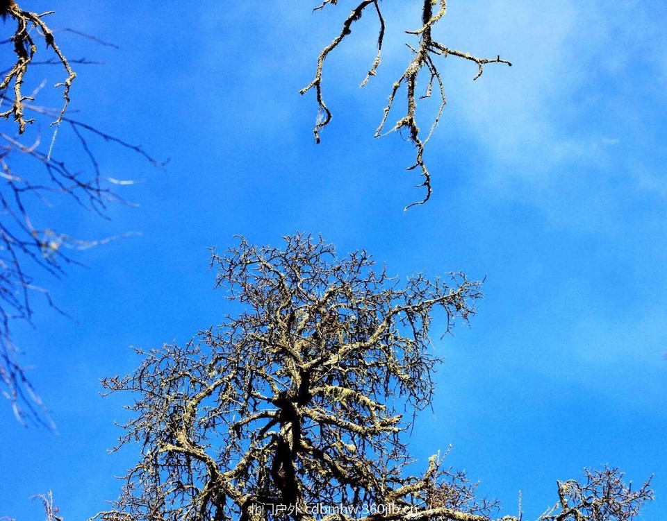 9324D4AF-E4B5-423A-A0FD-C62FDEBB8BF6