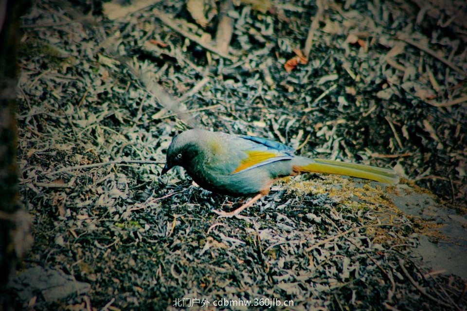 A20C6A23-0A78-4D21-ABD7-9E23F1C51EE0