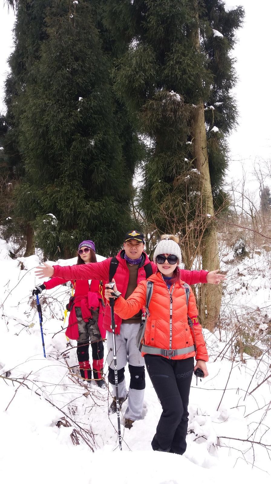 E120B7C2-4D4F-489E-B07B-BE3137DC746B