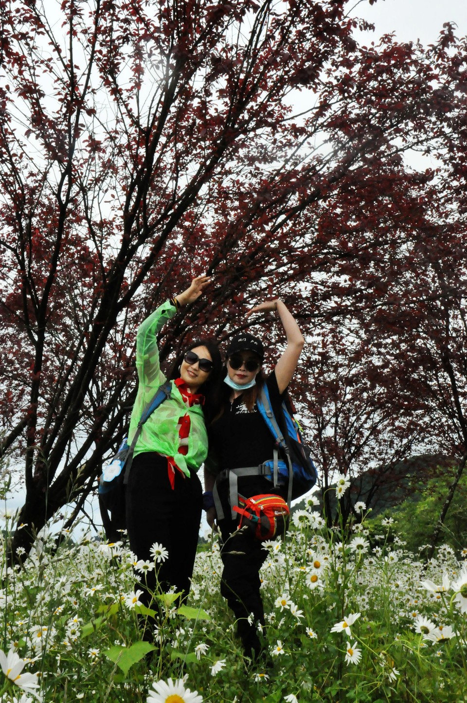 微信图片_20200618182832