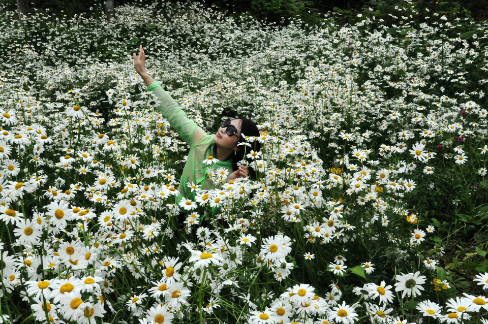 微信图片_20200618183944