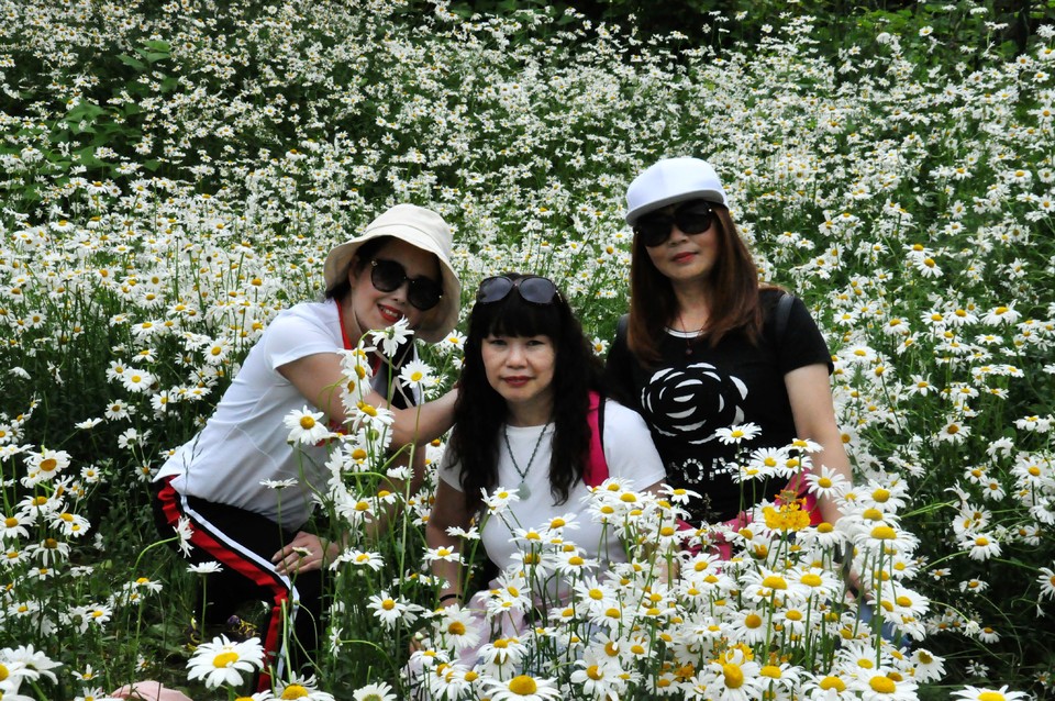 微信图片_20200618184003