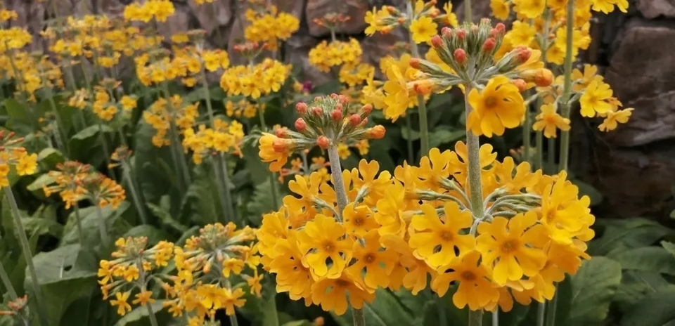 微信图片_20200618184021