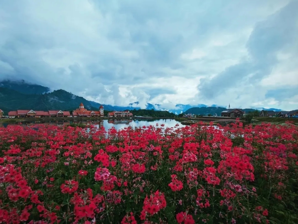 微信图片_20200618184025